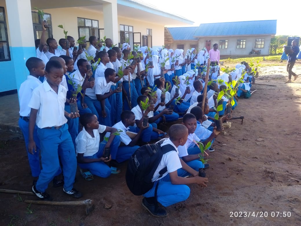 Sapling nursery preparation